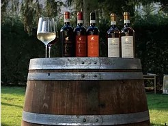 scelta vini